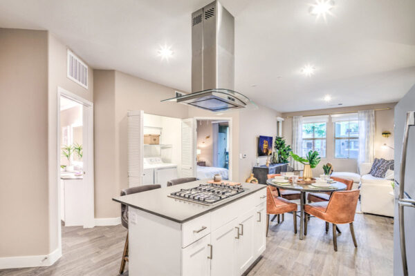 Kitchen with wood floor, white cabinets, gray counters, and stainless steel appliances.