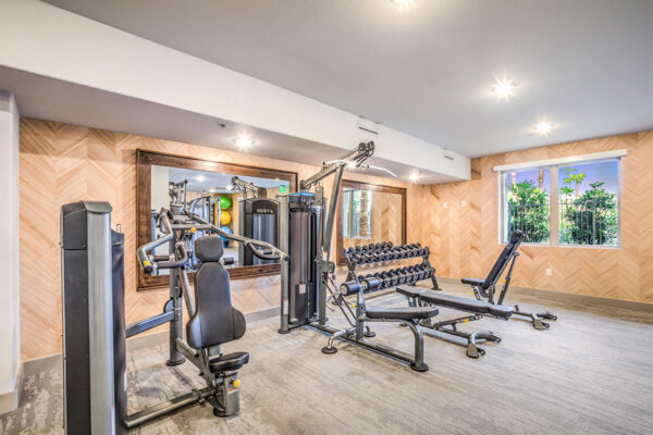 Fitness center with weight equipment and machines and large window.