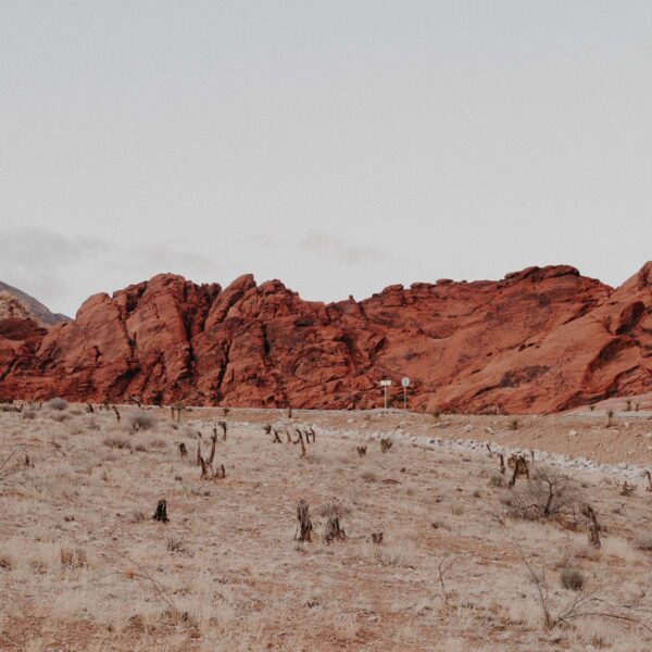 Red rocks rising from the desert outside Las Vegas.