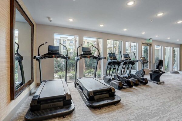 Aspire at Echelon apartments fitness center with cardio machines and large windows.