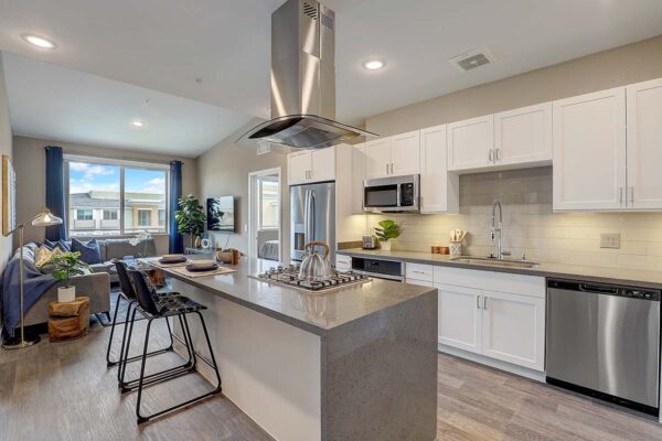Aspire at Echelon apartment kitchen with wood style floor, white cabinets, gray counters, and stainless steel appliances.