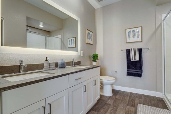Aspire at Echelon apartment bathroom with wood style floor, white cabinets, gray counters, and lighted mirror.