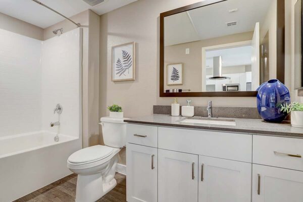 Aspire at Echelon apartment bathroom with wood style floor, white cabinets, and framed mirror.
