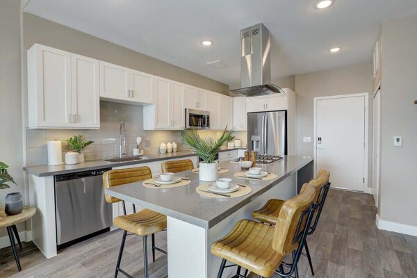 Aspire at Echelon apartment kitchen with wood style floor, white cabinets, gray counters, and stainless steel appliances.