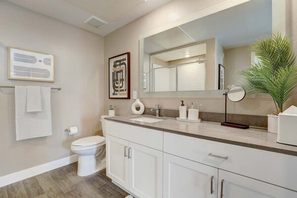Aspire at Echelon apartment bathroom with wood style floor, white cabinets, gray counters, and large mirror.
