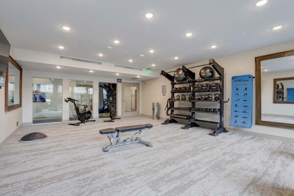 Aspire at Echelon apartments fitness center with weight lifting and calisthenics equipment.