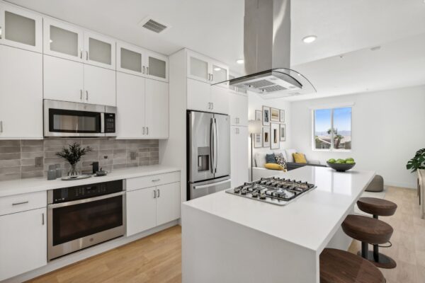 1B Kitchen View
