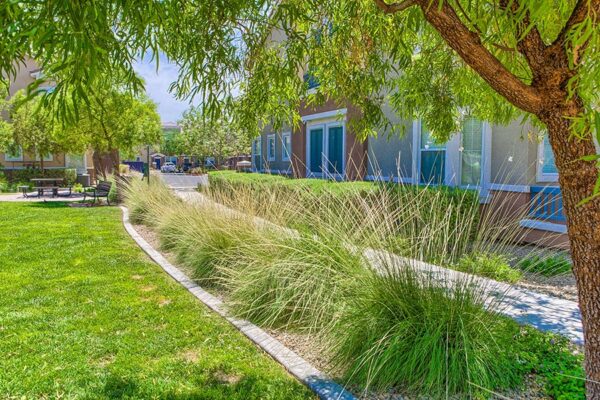 Arzano Apartments landscaping