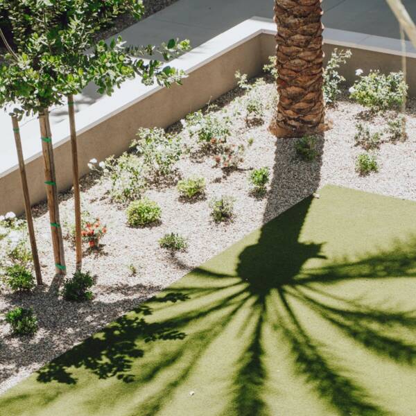 Aspire At Flamingo Grand Outdoor Courtyard Palms
