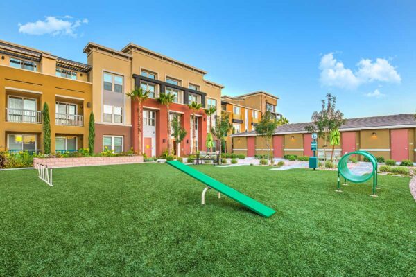 Pet area with training toys, lush grass, picnic table, and tall palm trees.