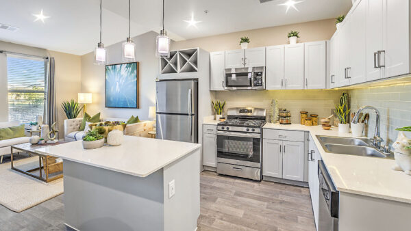Kitchen with wood floor, gray cabinets, stone counters, stainless steel appliances, and tiled backsplash.