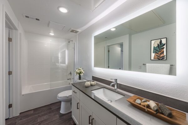 Tesora Apartments Midrise 1BD 1BA Bathroom