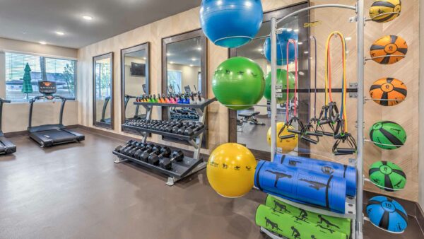 Fitness center with cardio machines, weights, and calisthenics equipment.