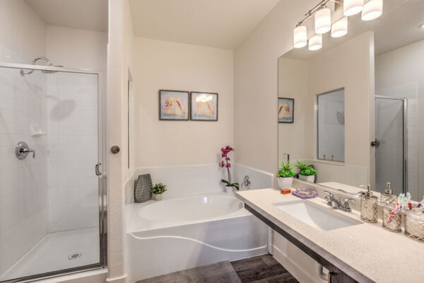 Bathroom with stone counter, large mirror, tub, and glass wall shower.