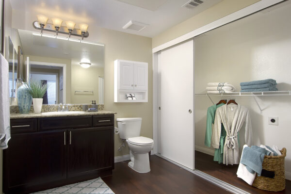 Bathroom with wood floor and cabinets, stone counters, large mirror, and large closet with shelves.