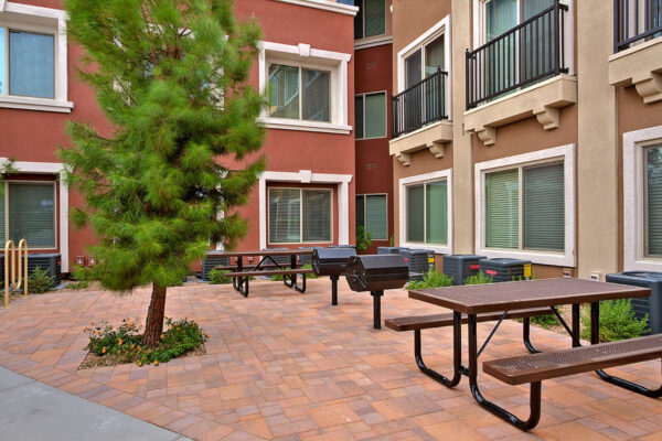 Outdoor lounge with stone paver patio, picnic tables, built in BBQ grills, and tall pine tree.