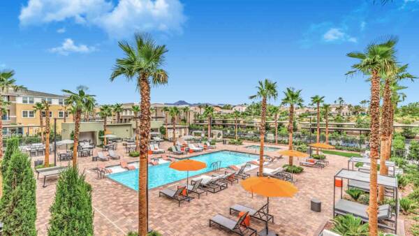 Pool area with lounge chairs, umbrellas, daybeds, and tall palm trees.