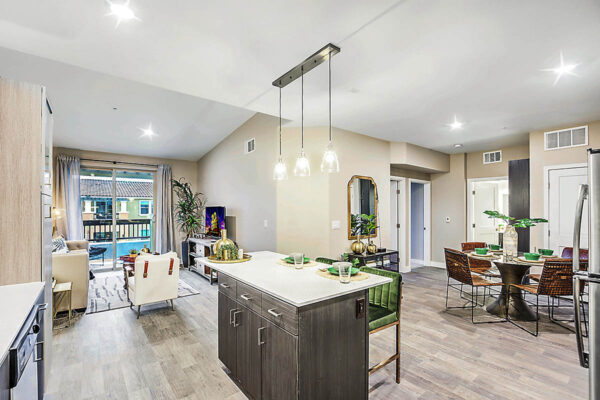 Apartment living area with modern kitchen, comfortable dining, and plush living room.