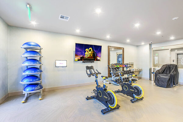 Fitness center with cardio machines, bosu balls, TV, and large mirror.