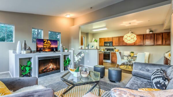 Apartment living area with modern kitchen, comfortable dining area, and plush living room.