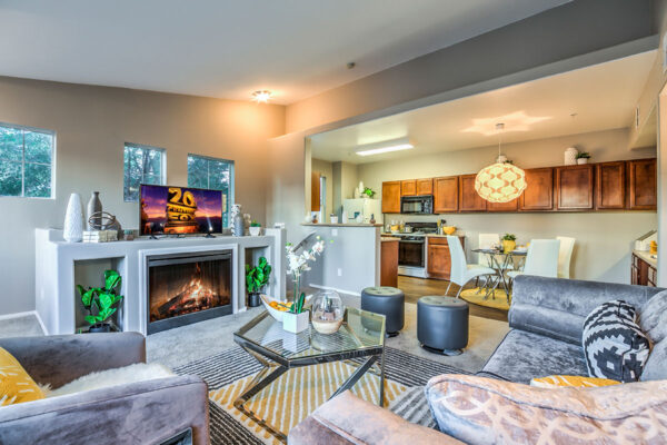 Apartment living area with modern kitchen, comfortable dining area, and plush living room.
