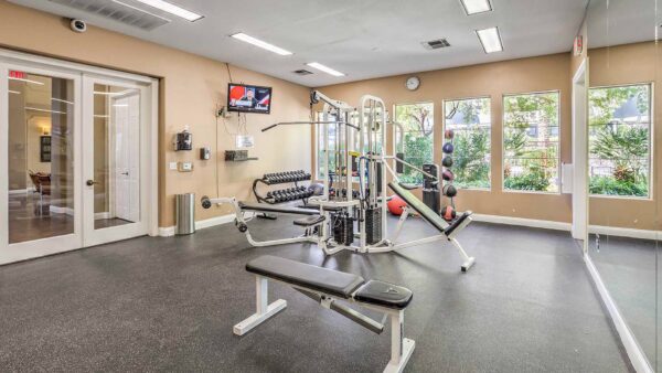 Fitness center with weight machines, dumbbells, TV, and large windows.