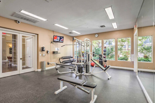 Fitness center with weight machines, dumbbells, TV, and large windows.