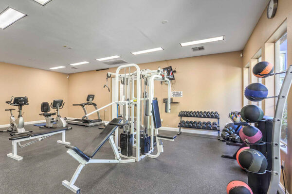 Fitness center with cardio machines, weight equipment, dumbbell rack, and medicine balls.
