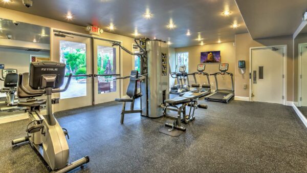 Fitness center with cardio machines, weight equipment, TV, and large windows.