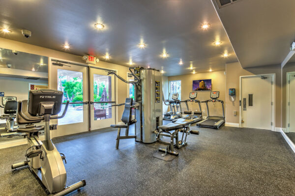 Fitness center with cardio machines, weight equipment, TV, and large windows.