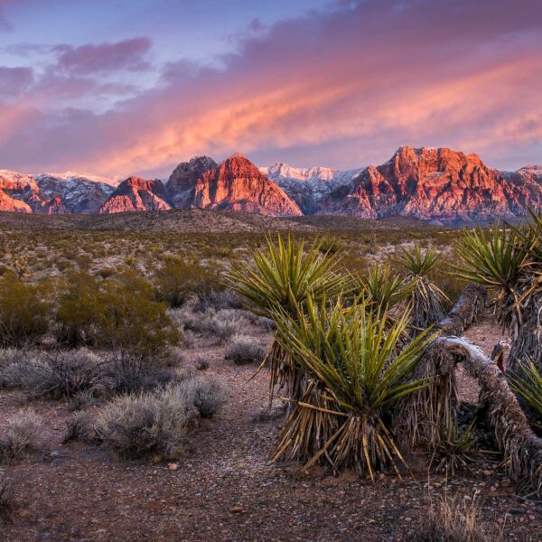 Rocky red cliffs above a desert landscape under cloudy sunrise.