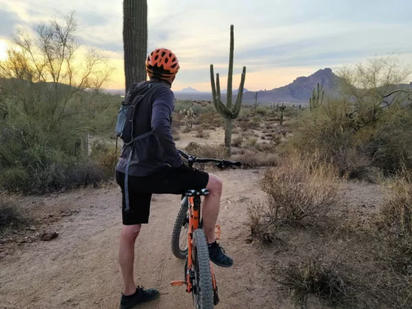Person riding bike along a desert trail.