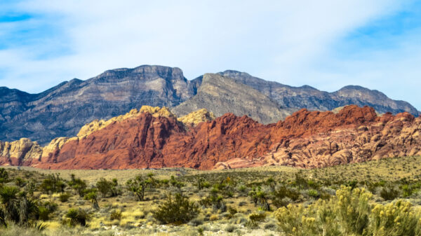 Red Rock Canyon National Conservation Area near Summerlin Las Vegas