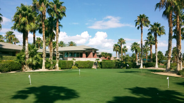 Golf course in Summerlin Las Vegas with palm trees and mountain views
