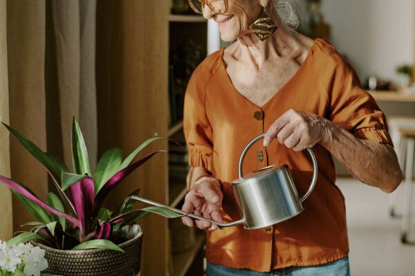 Woman watering plants photo