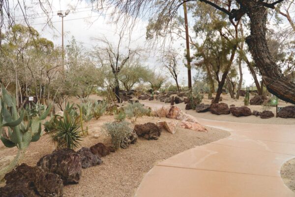 Henderson Ethel M Cactus Gaden Walkway