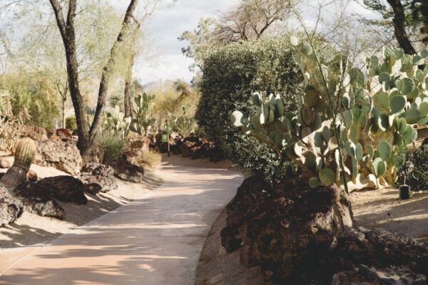 Henderson Ethel M Cactus Garden Walkway