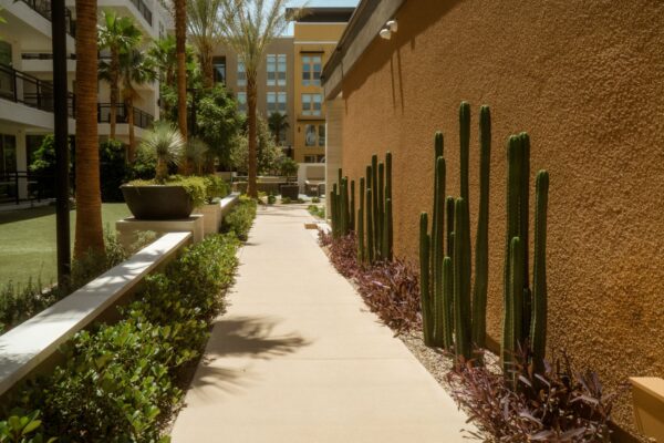 landscape Aspire at Redwood walkway