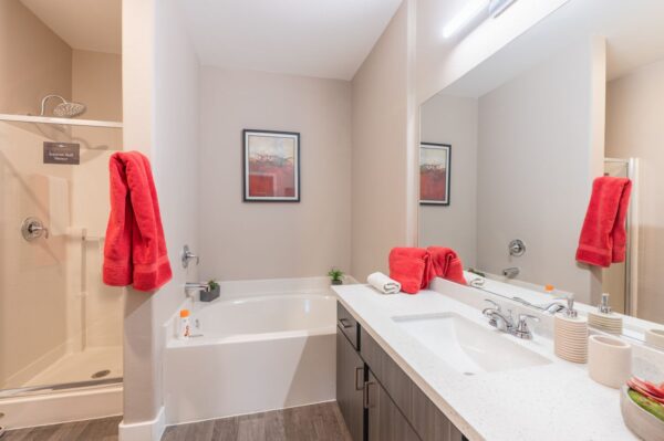 Adiamo-Model-Bathroom-2