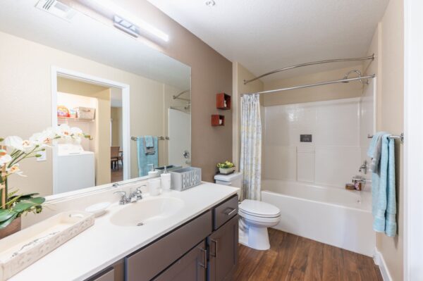 Adiamo-Model-Bathroom