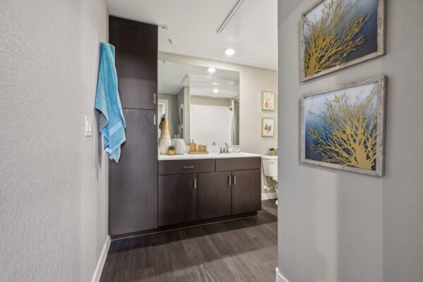 Elevate-Apartments-Model-Bathroom