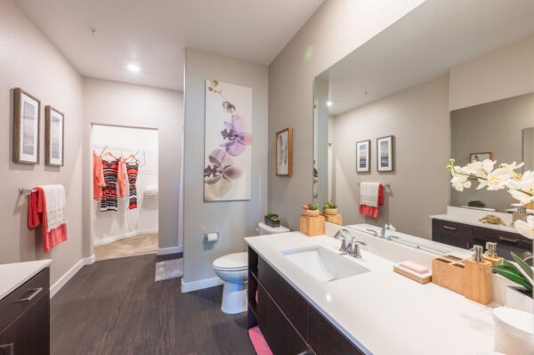 Aspire-at-Tropicana-Apartments-Las-Vegas-2B50-Model-Primary-Bathroom-With-Walk-In-Closet