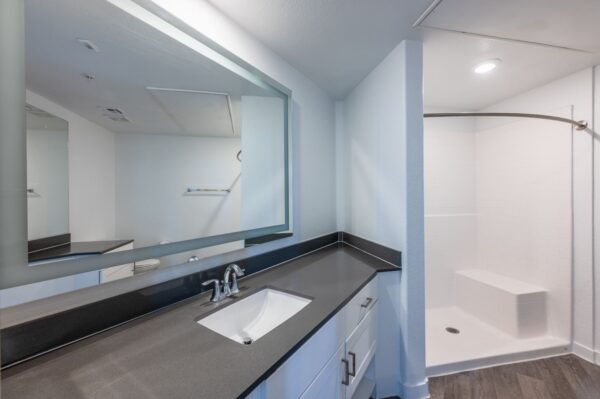 Aspire-at-Tropicana-Apartments-Las-Vegas-2C-Primary-Bathroom