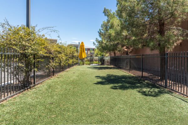 Aspire-at-Tropicana-Apartments-Las-Vegas-Dog-Park