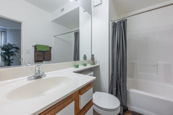 Positano-Apartments-Las-Vegas-Vietri-Model-Primary-Bathroom